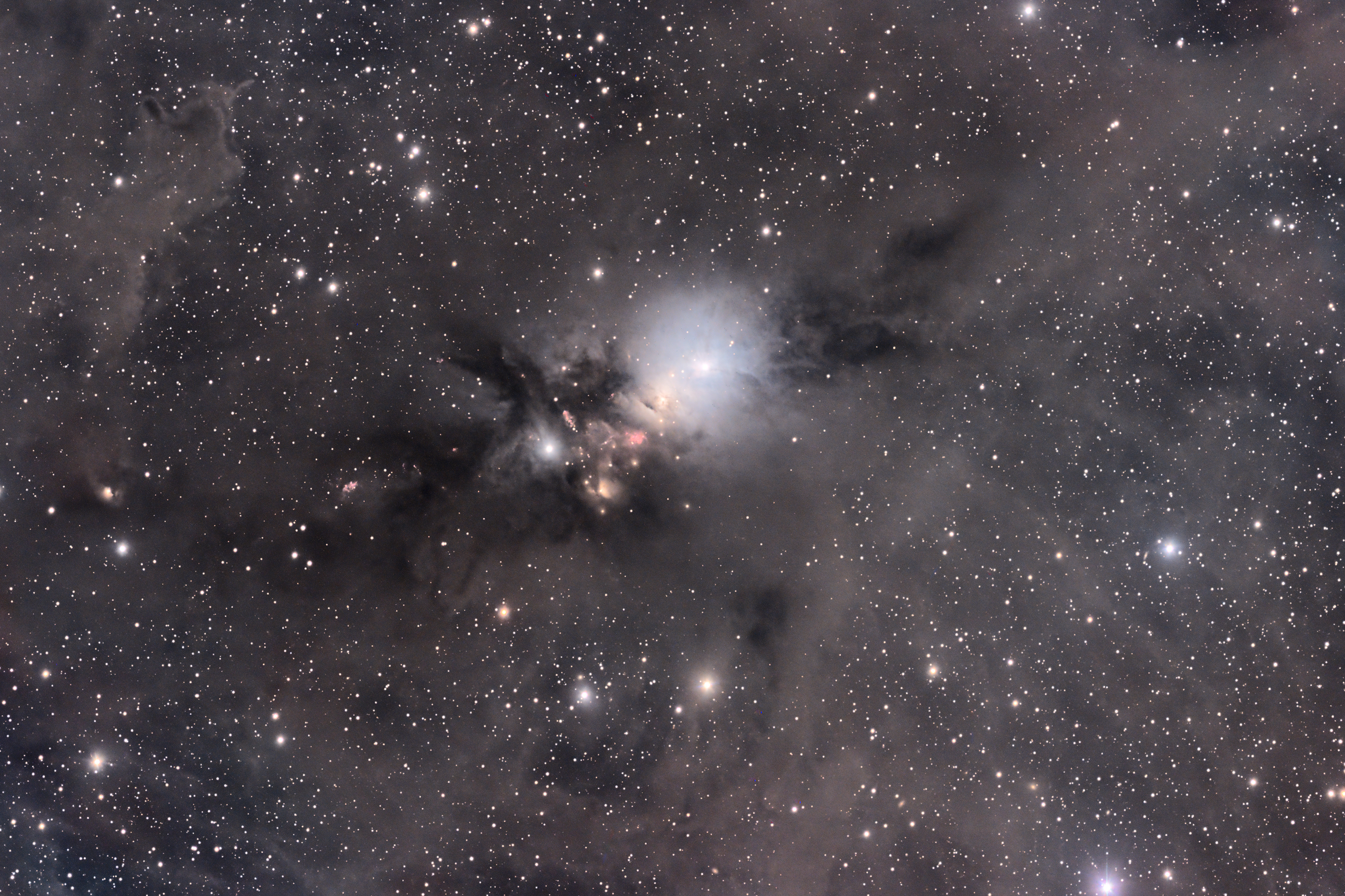 NGC1333
